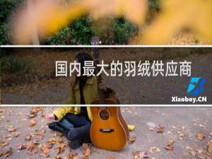 国内最大的羽绒供应商