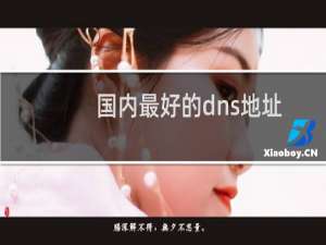 国内最好的dns地址
