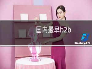 国内最早b2b