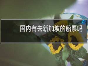 国内有去新加坡的船票吗