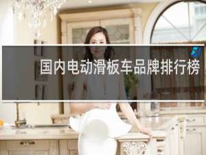 国内电动滑板车品牌排行榜