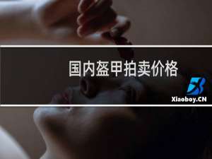 国内盔甲拍卖价格