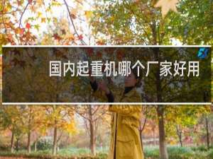国内起重机哪个厂家好用
