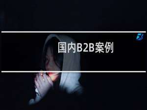 国内B2B案例