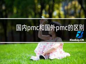 国内pmc和国外pmc的区别