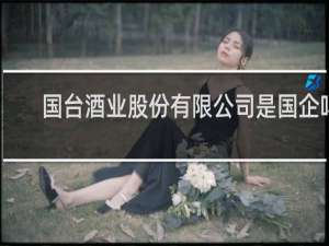 国台酒业股份有限公司是国企吗