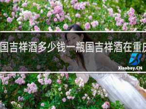 国吉祥酒多少钱一瓶国吉祥酒在重庆的店
