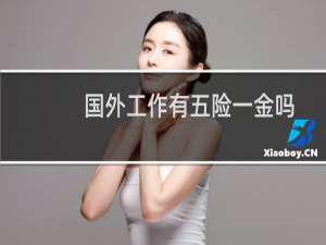 国外工作有五险一金吗