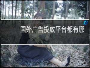 国外广告投放平台都有哪些