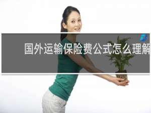 国外运输保险费公式怎么理解