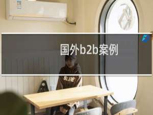 国外b2b案例