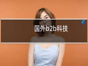 国外b2b科技