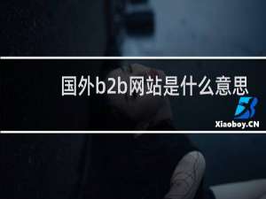 国外b2b网站是什么意思