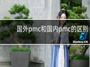 国外pmc和国内pmc的区别