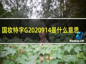 国妆特字G2020914是什么意思