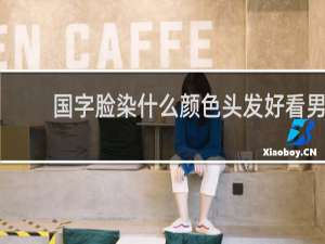 国字脸染什么颜色头发好看男