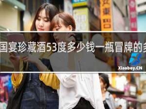国宴珍藏酒53度多少钱一瓶冒牌的多少钱
