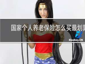 国家个人养老保险怎么买最划算