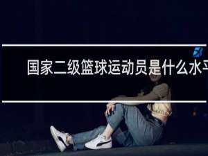 国家二级篮球运动员是什么水平