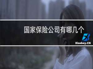 国家保险公司有哪几个