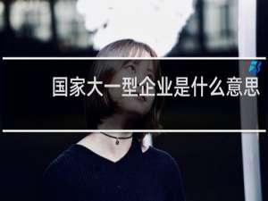 国家大一型企业是什么意思