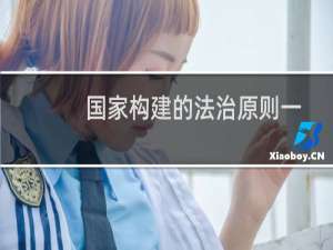 国家构建的法治原则一般包括哪些内容