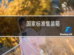 国家标准集装箱