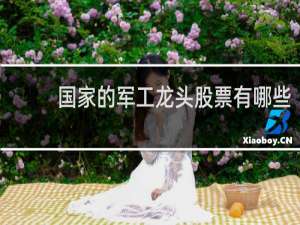 国家的军工龙头股票有哪些