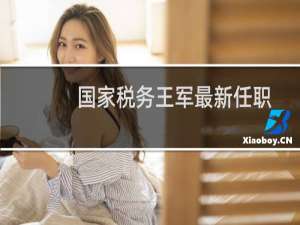 国家税务王军最新任职
