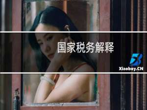 国家税务解释
