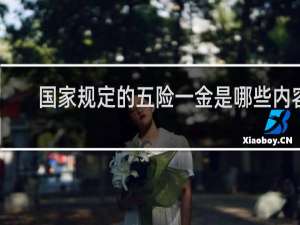 国家规定的五险一金是哪些内容