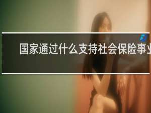 国家通过什么支持社会保险事业