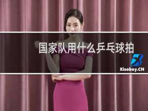 国家队用什么乒乓球拍