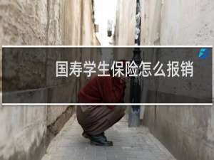 国寿学生保险怎么报销