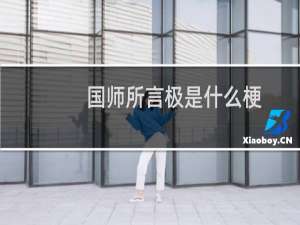 国师所言极是什么梗