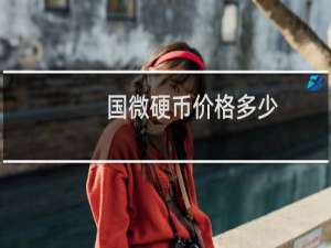国微硬币价格多少