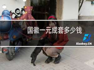 国徽一元成套多少钱