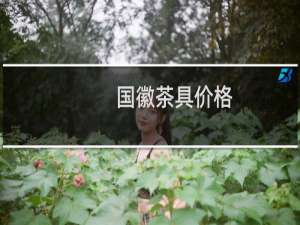 国徽茶具价格