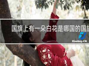 国旗上有一朵白花是哪国的国旗