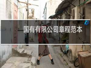 国有有限公司章程范本