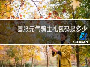 国服元气骑士礼包码是多少