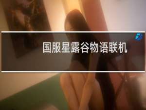 国服星露谷物语联机