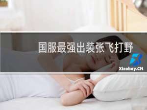 国服最强出装张飞打野