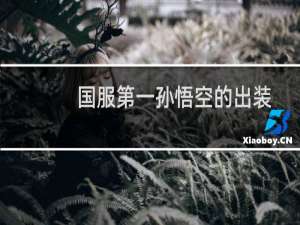 国服第一孙悟空的出装