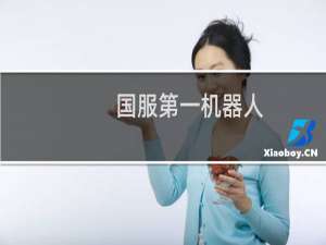 国服第一机器人