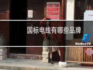 国标电线有哪些品牌