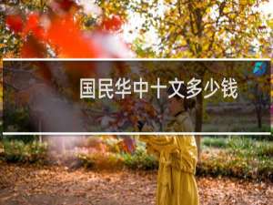 国民华中十文多少钱