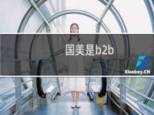国美是b2b