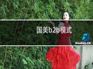 国美b2b模式