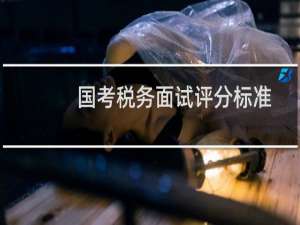 国考税务面试评分标准